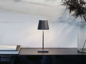 POLDINA MINI